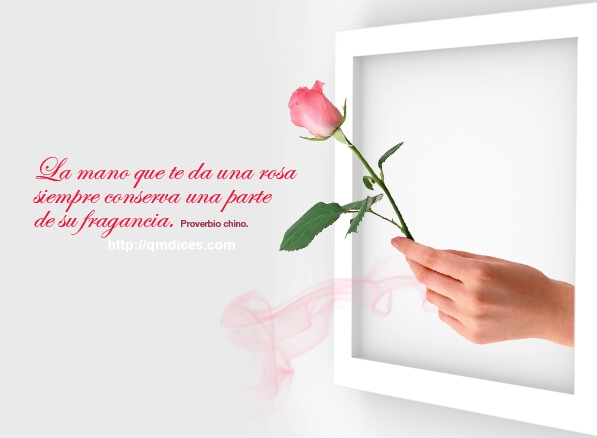 La mano que te da una rosa….